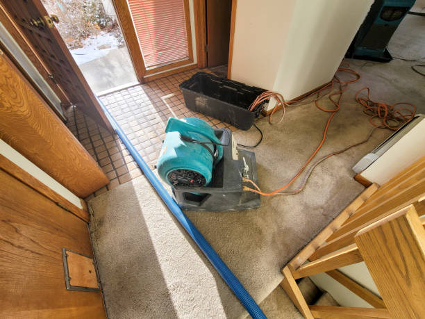 Best Water damage restoration services  in Granite Shoals, TX