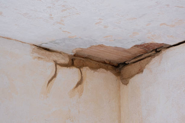 Best Water damage contractors near me  in Granite Shoals, TX