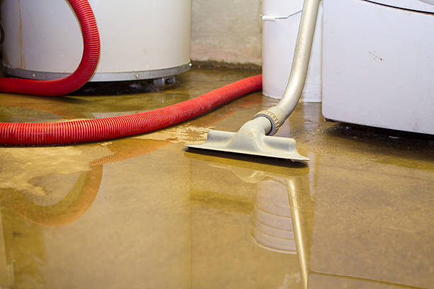 Best Sewage cleanup and water damage restoration  in Granite Shoals, TX